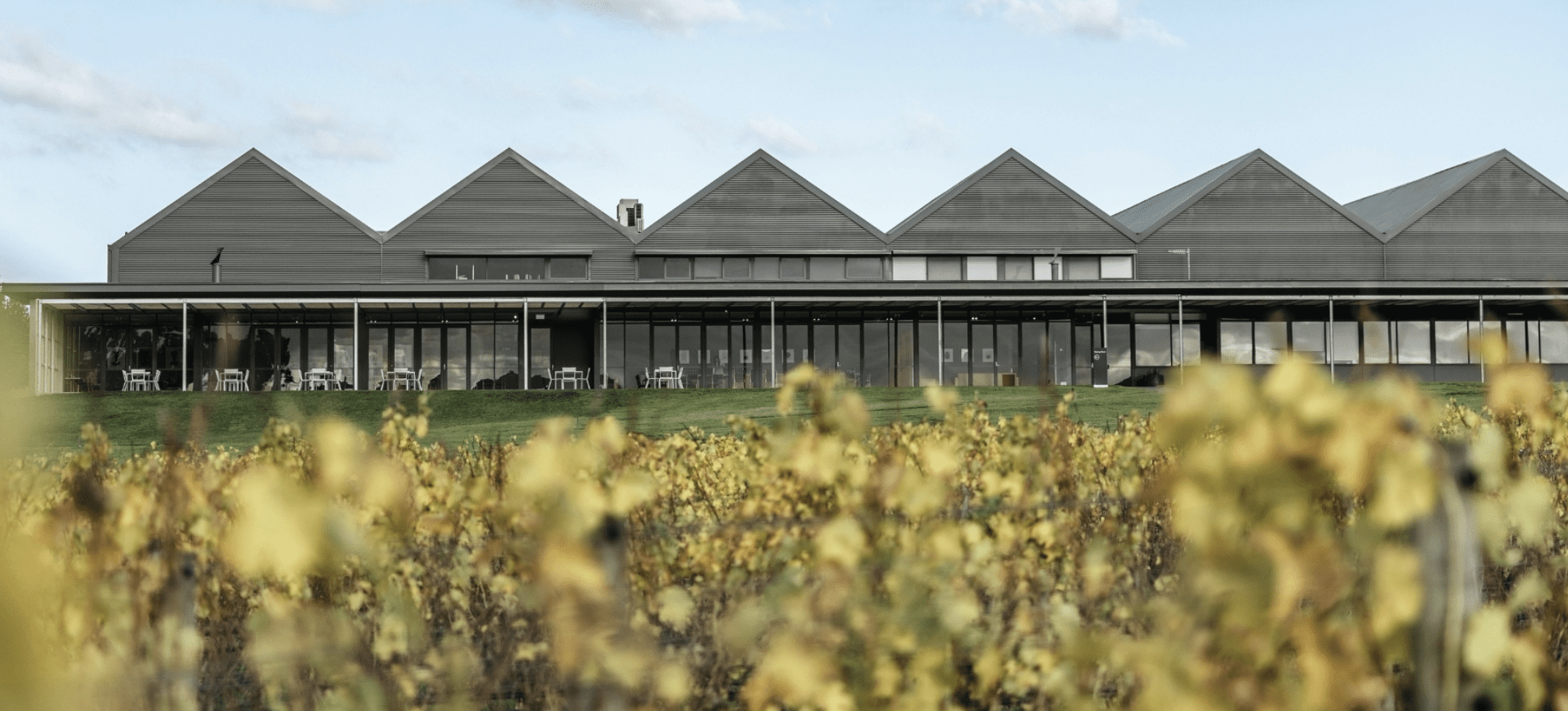 shaw and smith winery,adelaide hills, balhannah